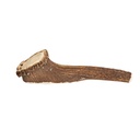 DENTLER WHOLE NATURAL ANTLER DOG CHEW LRG 2