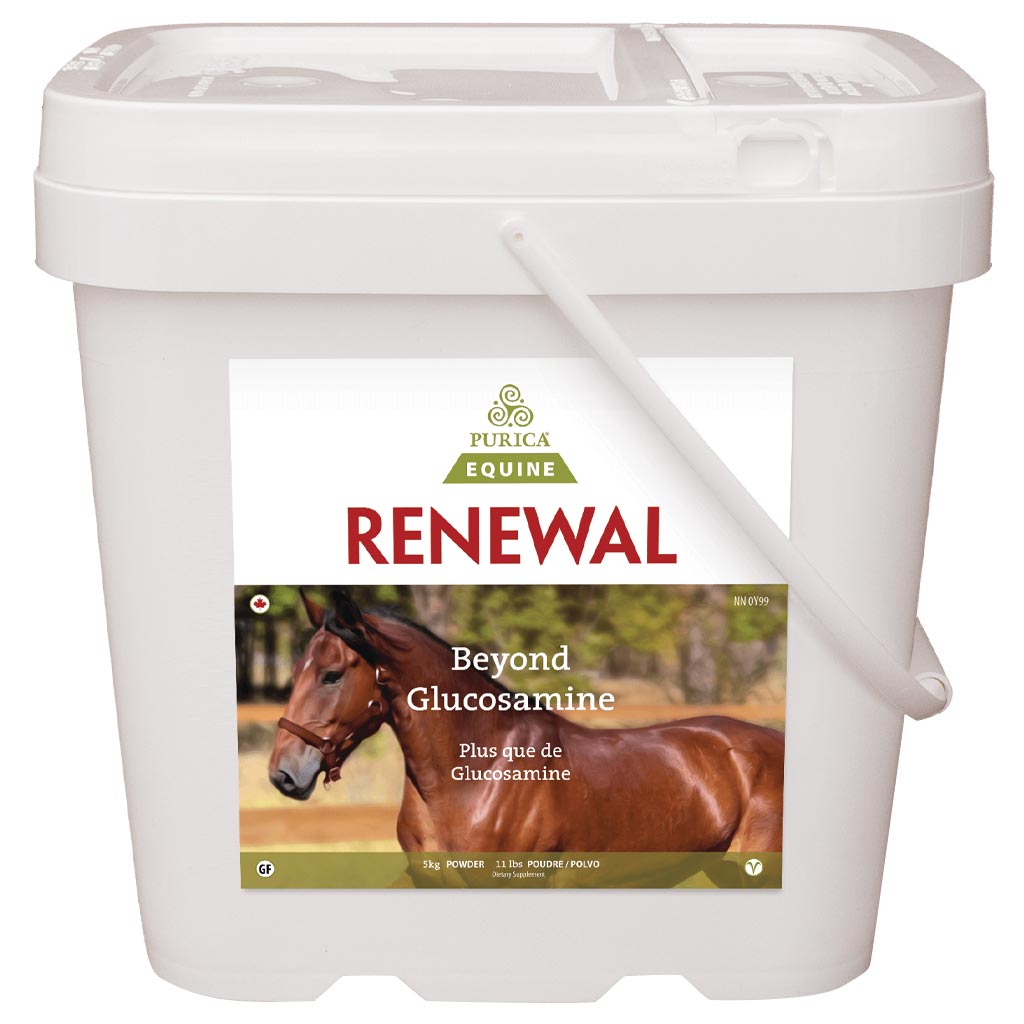 DV - PURICA RENEWAL GLUCOSAMINE W/ MSM 5KG