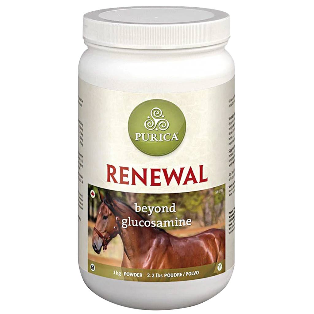 DV - PURICA RENEWAL GLUCOSAMINE W/ MSM 1KG