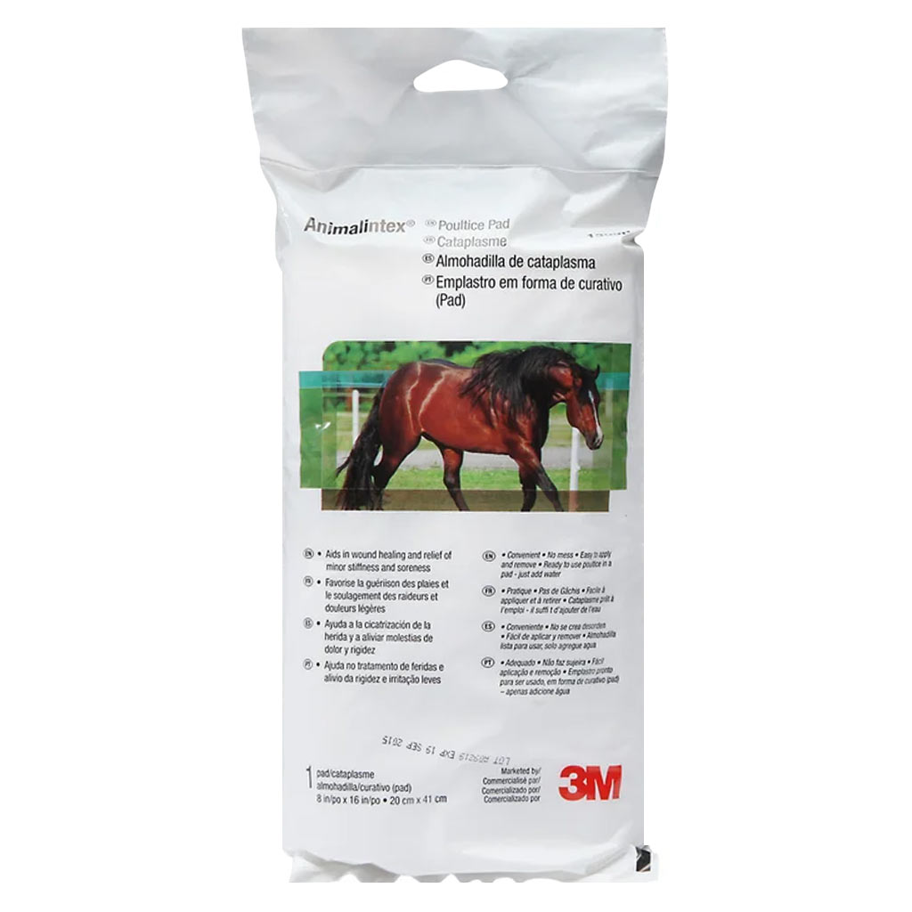 ANIMALINTEX POULTICE PAD 8X16