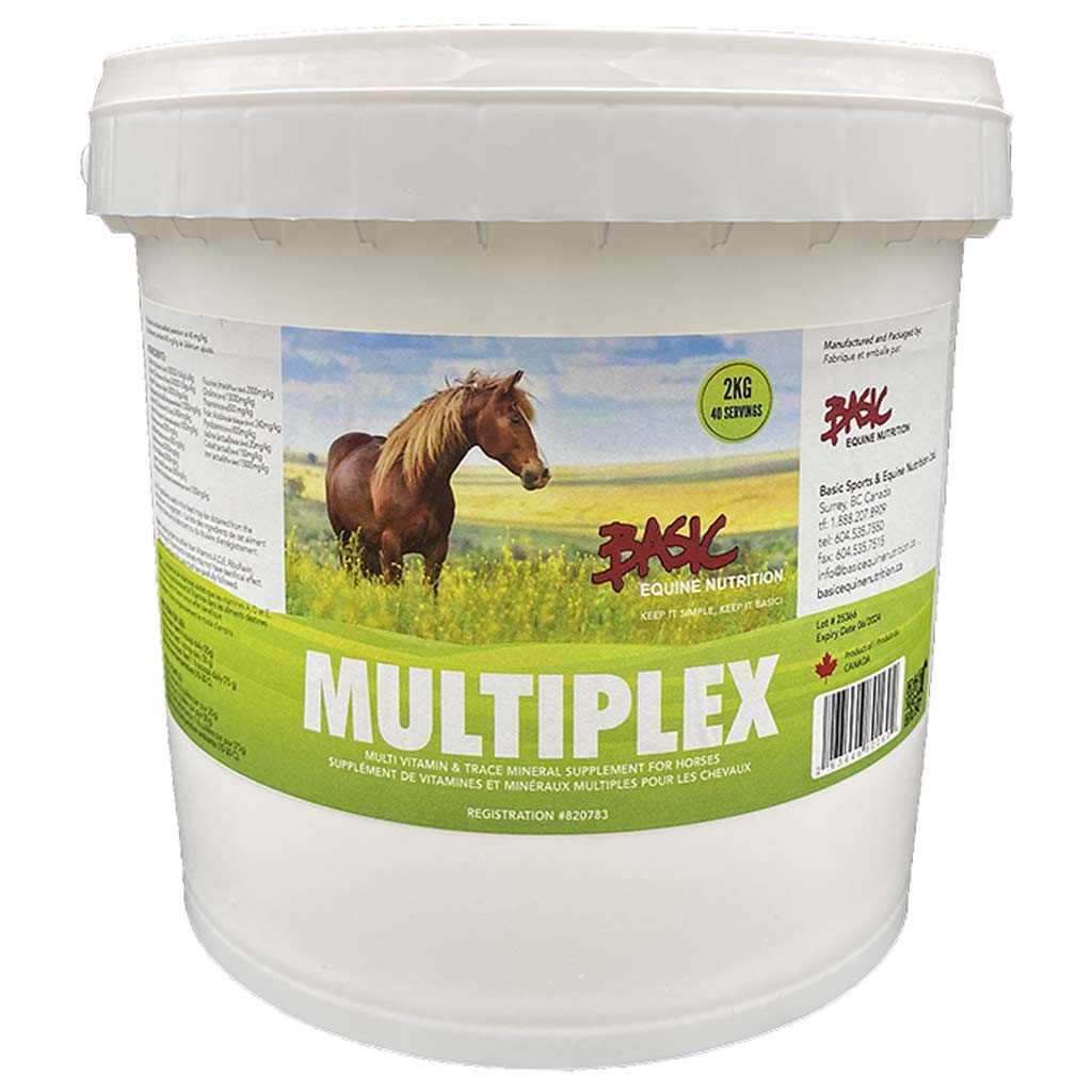 DR - BASIC EQUINE MULTIPLEX 2KG