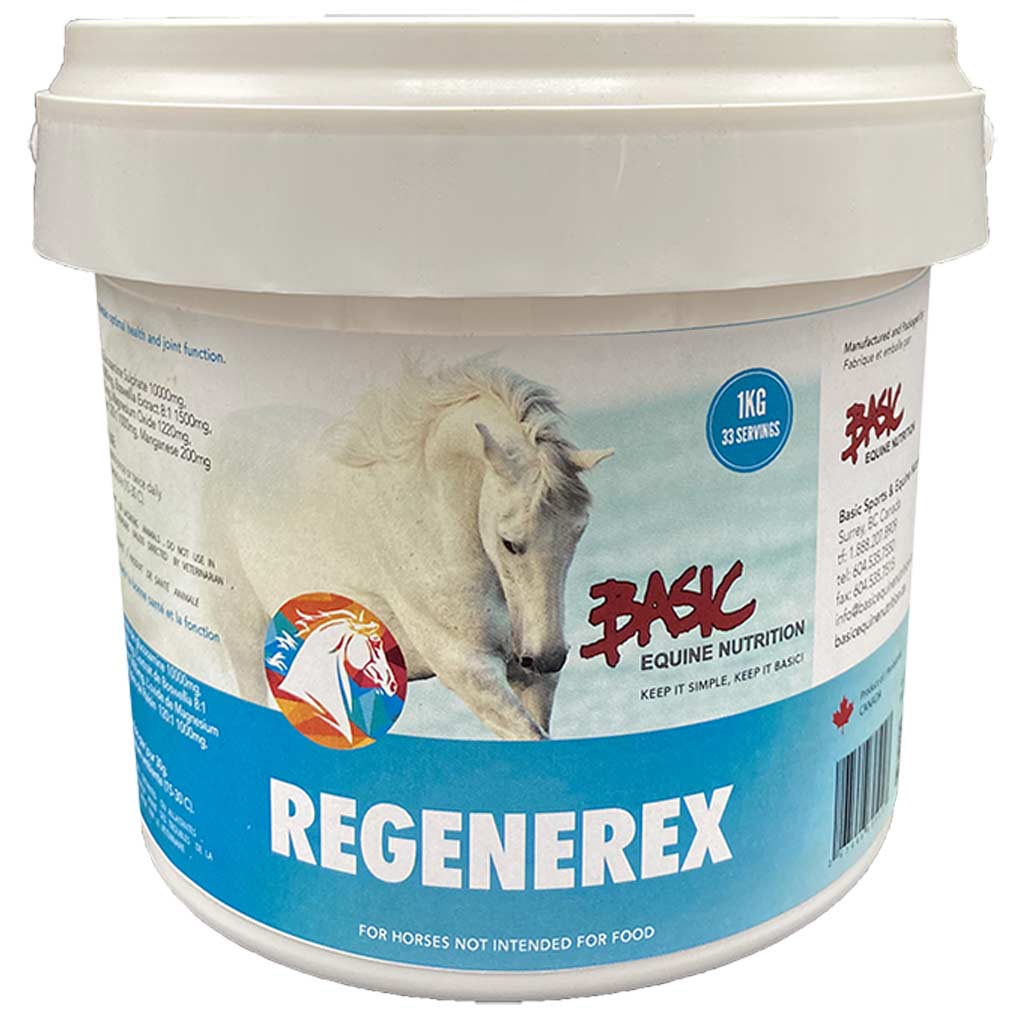 DV - BASIC EQUINE REGENEREX 1KG