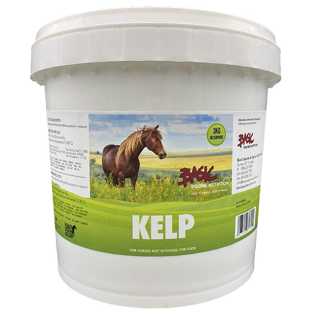 DR - BASIC EQUINE KELP MEAL 3KG