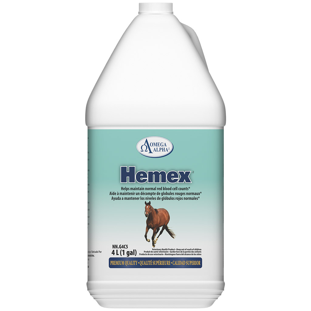 DMB - OMEGA ALPHA EQUINE HEMEX 4L