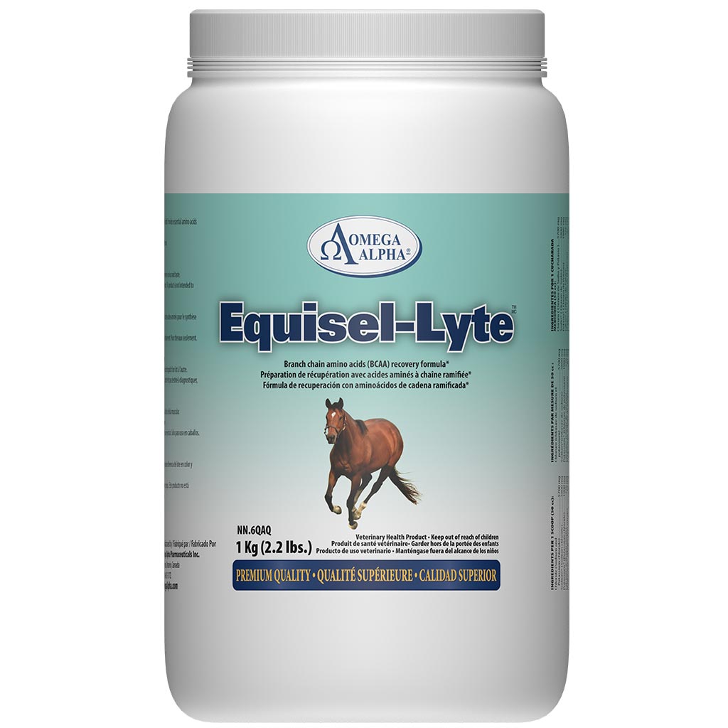 DMB - OMEGA ALPHA EQUINE EQUISEL LYTE 1KG