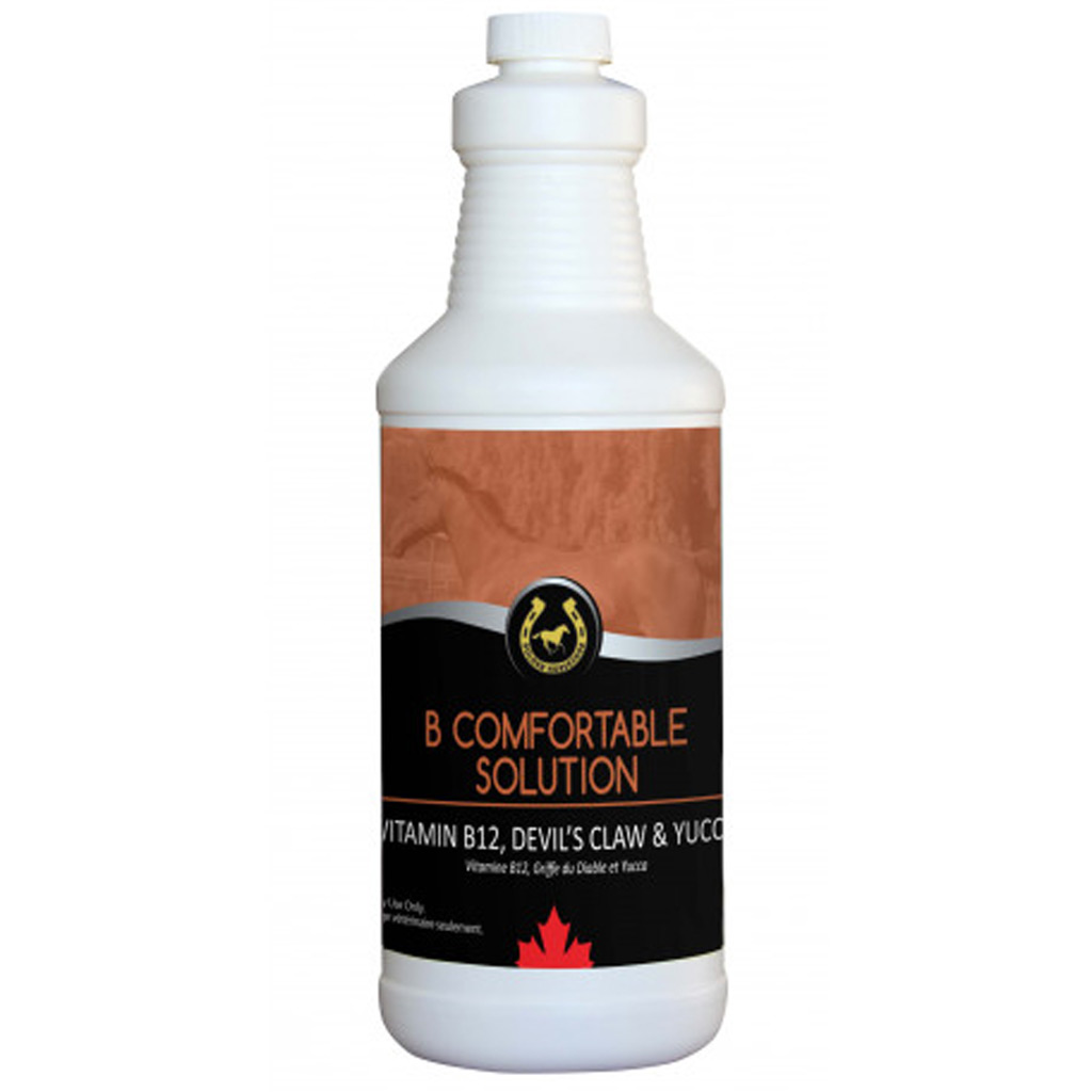 DV - GOLDEN HORSESHOE B-COMFORTABLE SOLUTION 1L