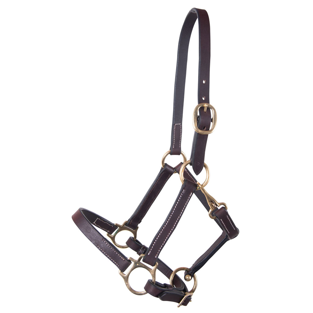 DMB - GER-RYAN GATSBY LEATHER HALTER SUCKLING