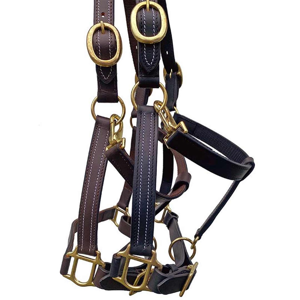 DV - GER-RYAN BROMONT LEATHER HALTER PONY ADJUSTABLE