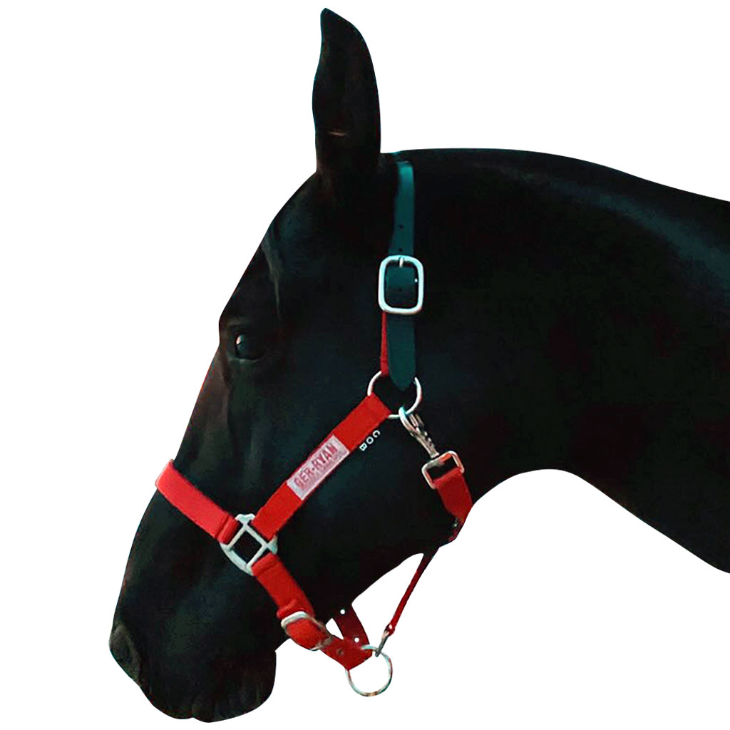 GER-RYAN NYLON HALTER W/ LEATHER BREAKAWAY COB RED