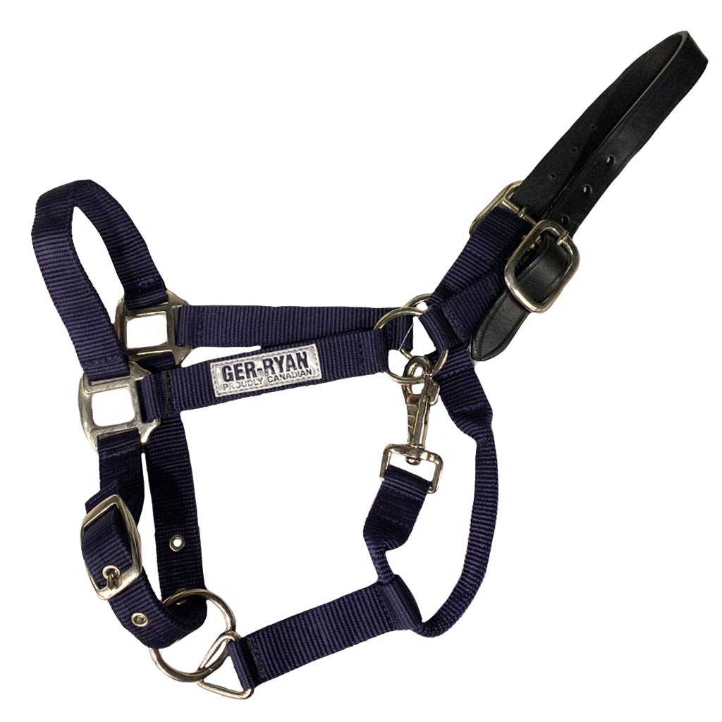 GER-RYAN NYLON HALTER W/ LEATHER BREAKAWAY PONY NAVY