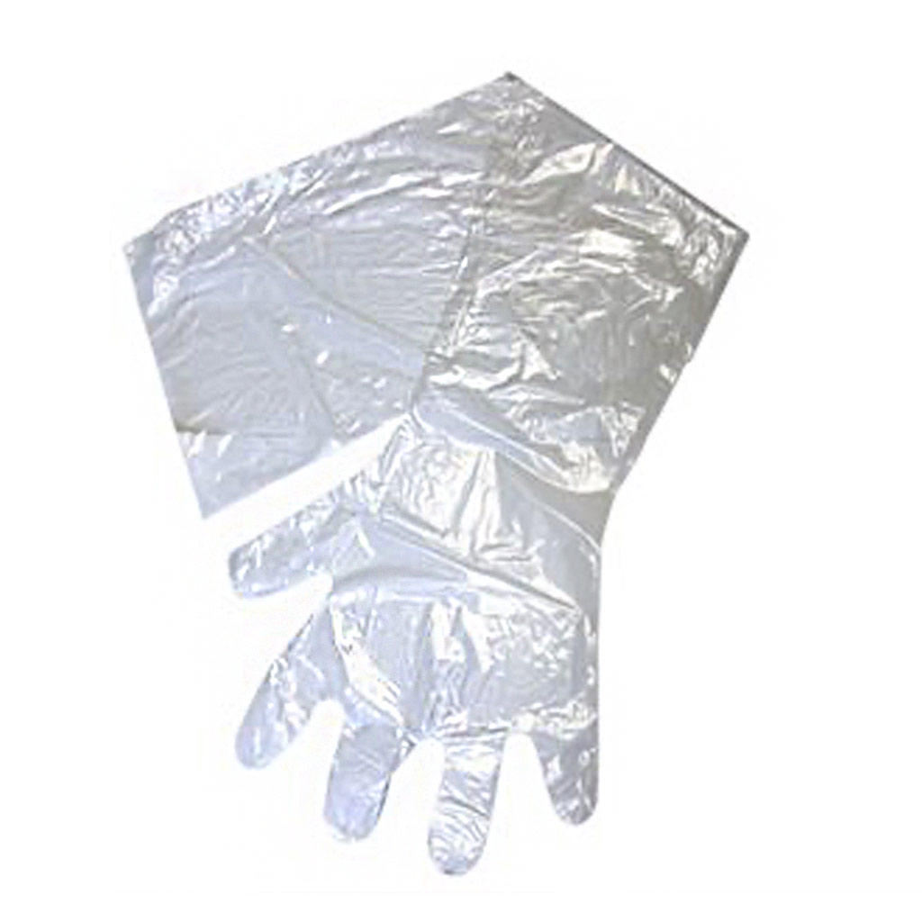 DMB - IDEAL OB/AI GLOVES CLEAR 1.25MIL 10/BAG