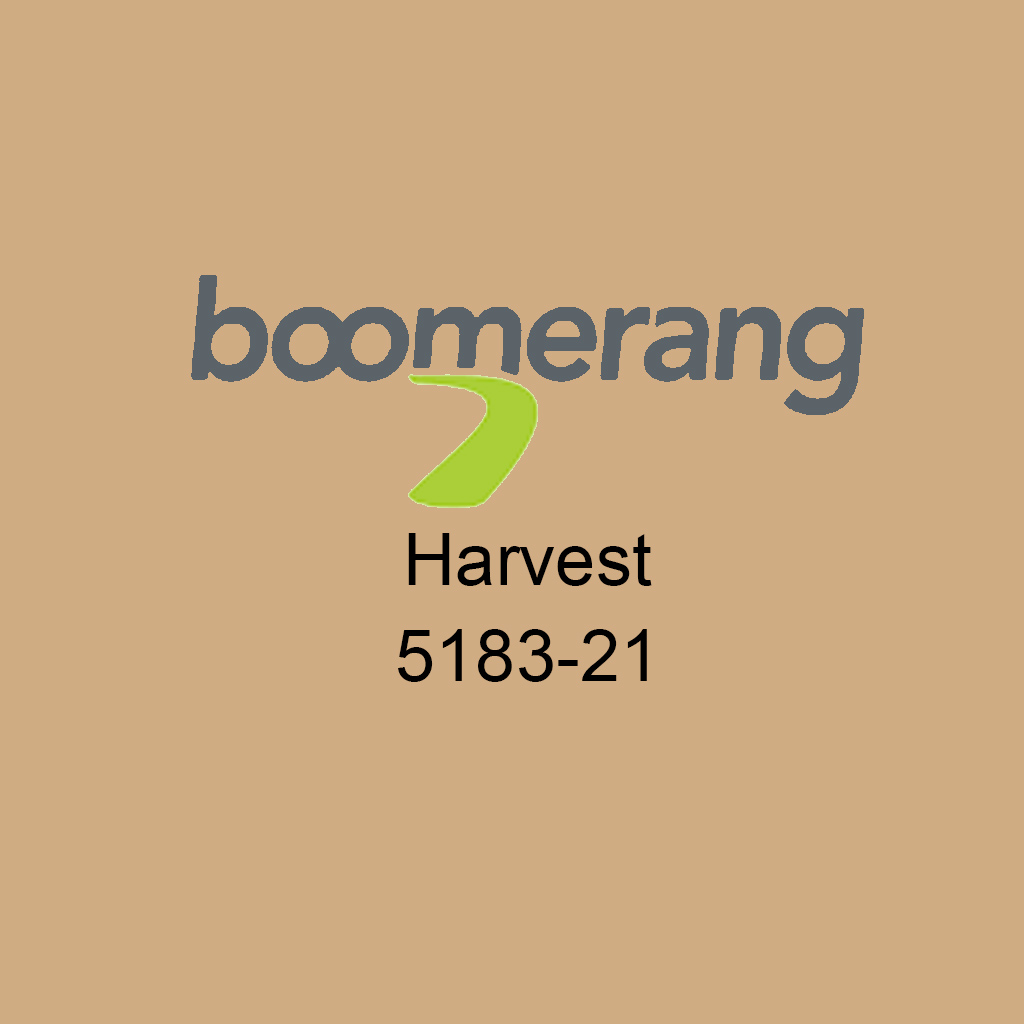 DV - BOOMERANG INTERIOR LATEX PAINT SATIN, HARVEST 3.78L