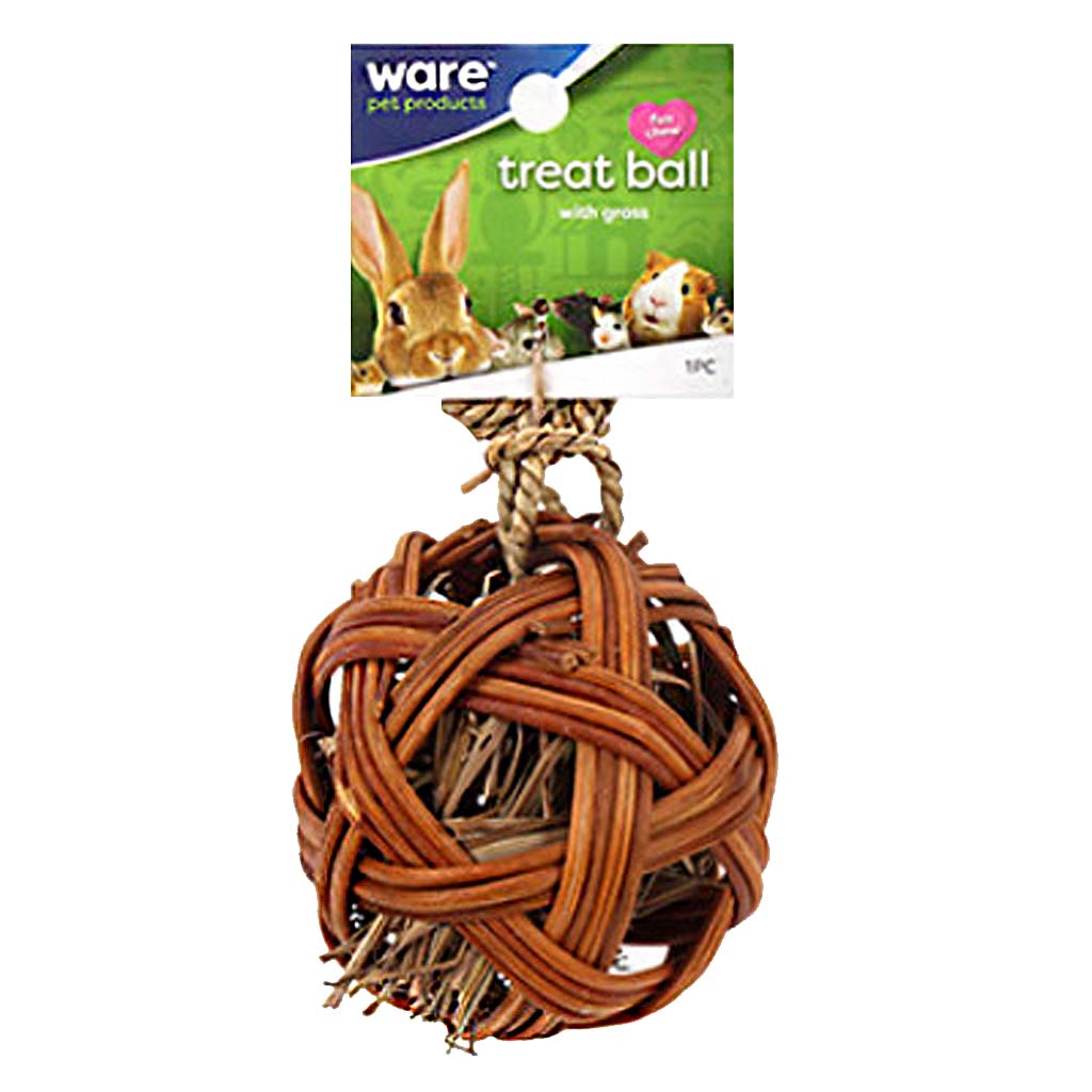 DV - WARE EDIBLE TREAT BALL NATURAL CHEW 4&quot;