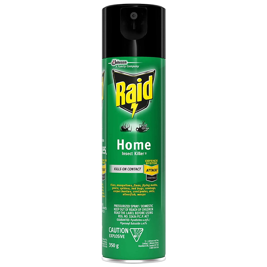 DMB - RAID HOME INSECT KILLER