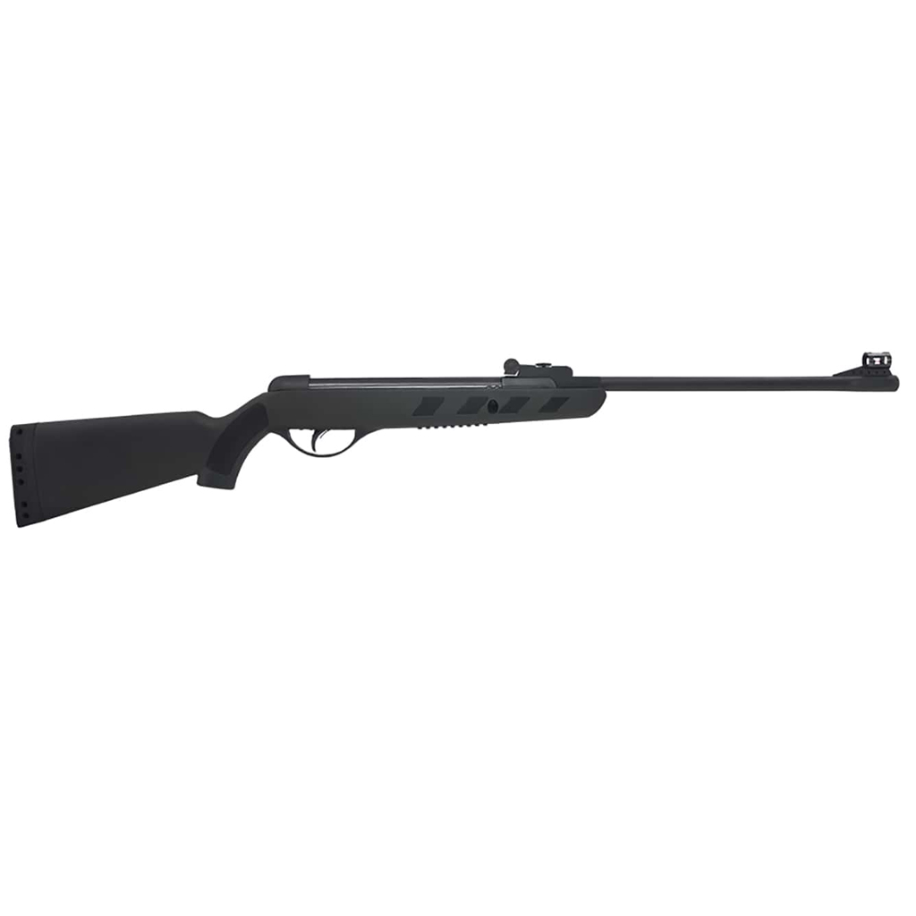 DV - WINCHESTER AIR RIFLE 500S