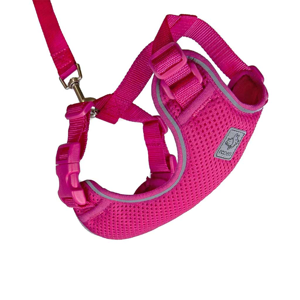 RC PET ADVENTURE KITTY HARNESS LRG RASPBERRY