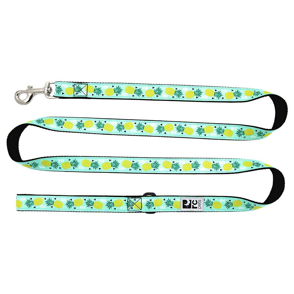 DV - RC PET KITTY LEASH 6' PINEAPPLE PARADE