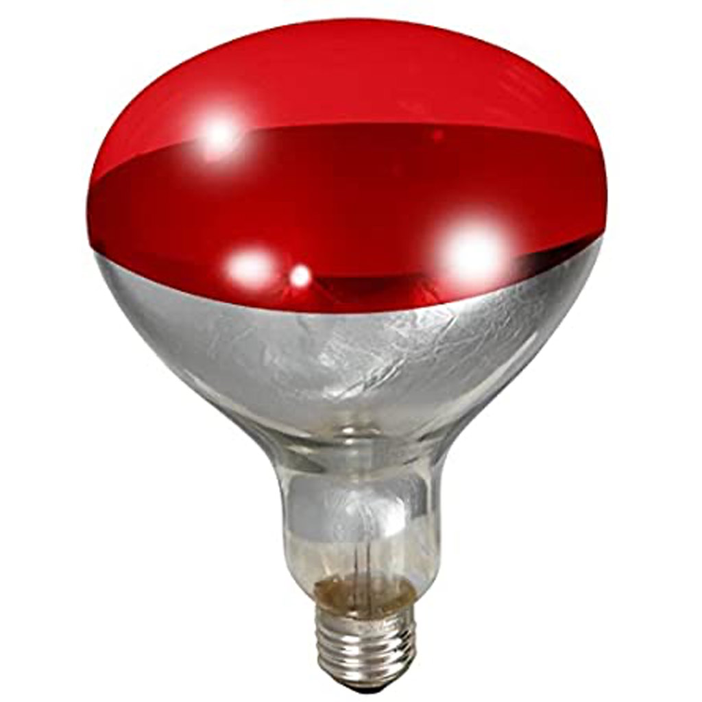 LITTLE GIANT HEAT BULB RED 250W