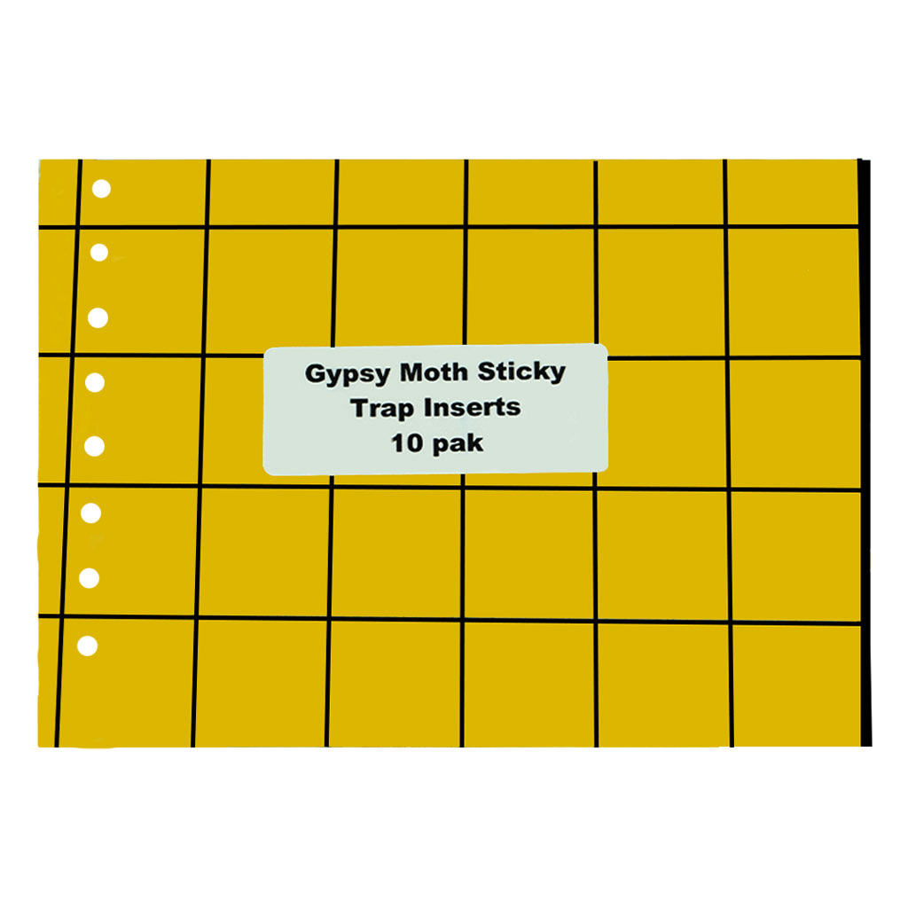 DMB - NIC SPONGY (GYPSY) MOTH TRAP STICKY INSERTS 10/PK