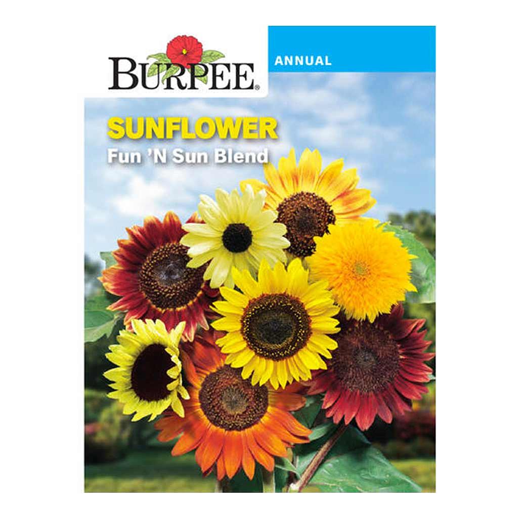 BURPEE SUNFLOWER - FUN 'N SUN BLEND