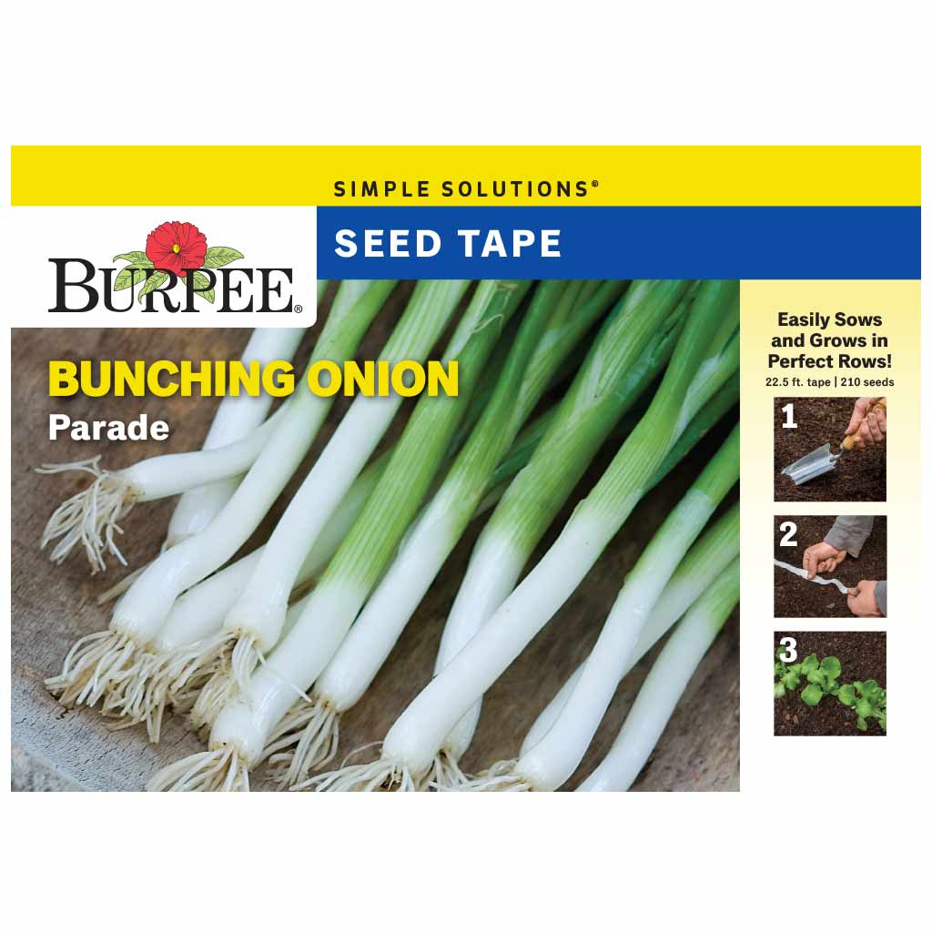 BURPEE BUNCHING SEED TAPE ONION