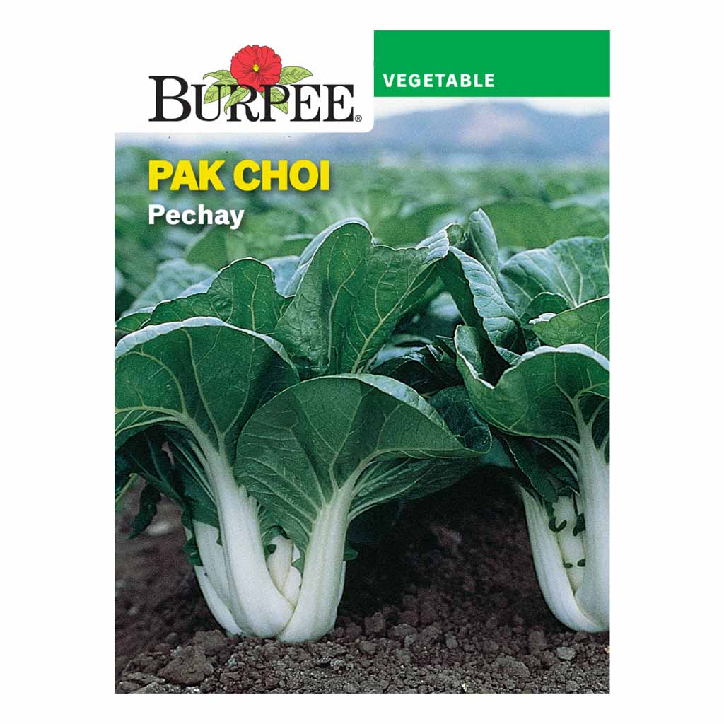 BURPEE PAK CHOI