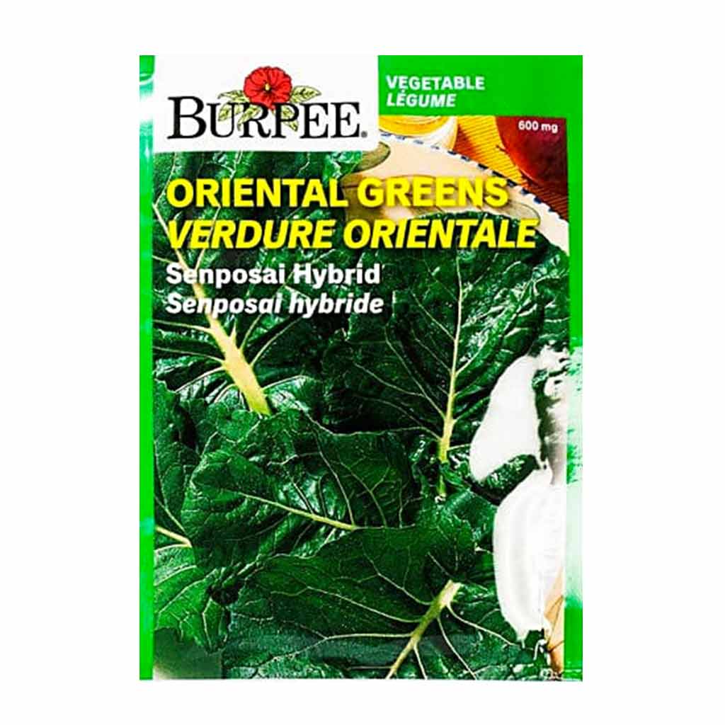 BURPEE ORIENTAL GREENS