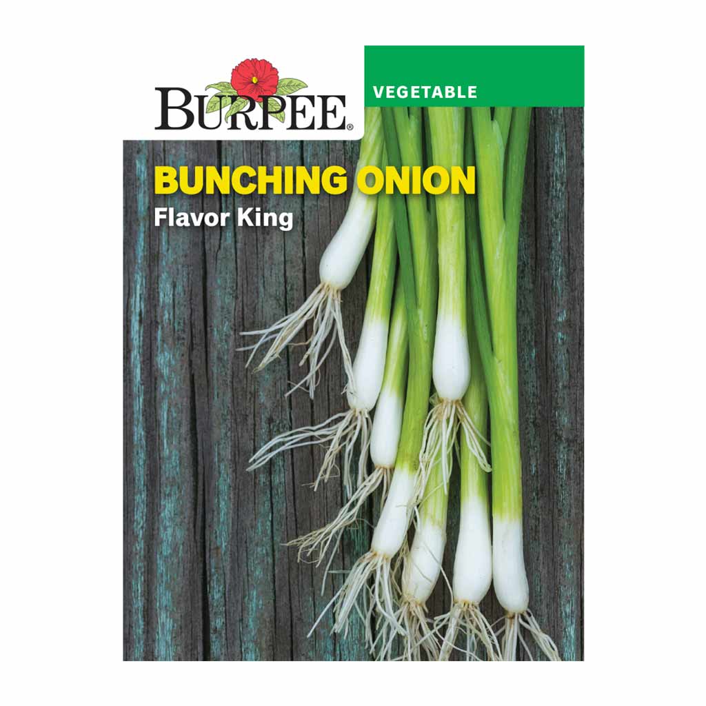 BURPEE BUNCHING ONION - FLAVOUR KING