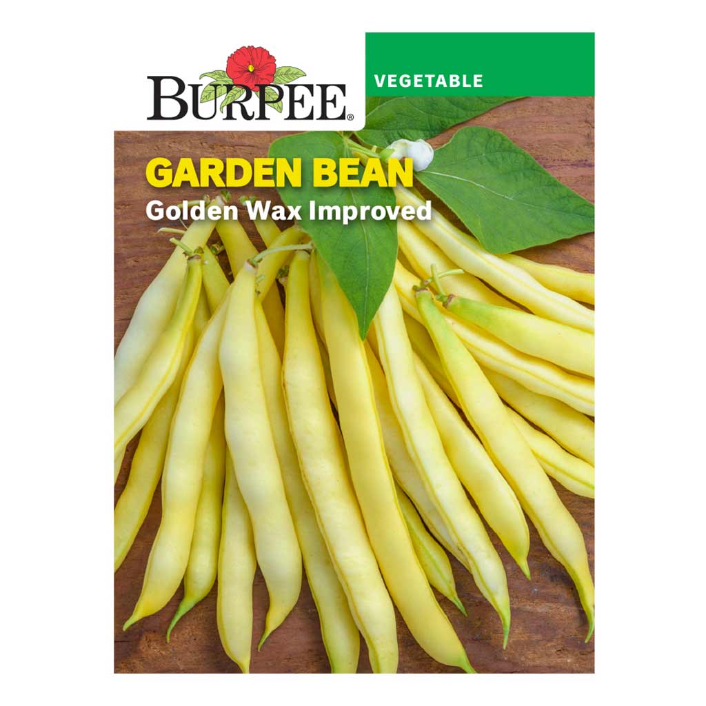 BURPEE GARDEN BEAN - GOLDEN WAX 