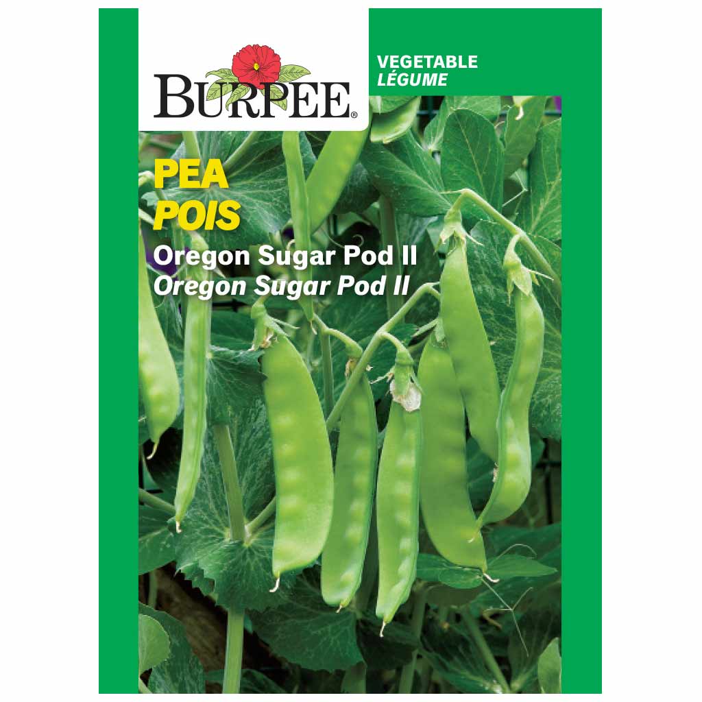 BURPEE PEA - OREGON SUGAR POD II