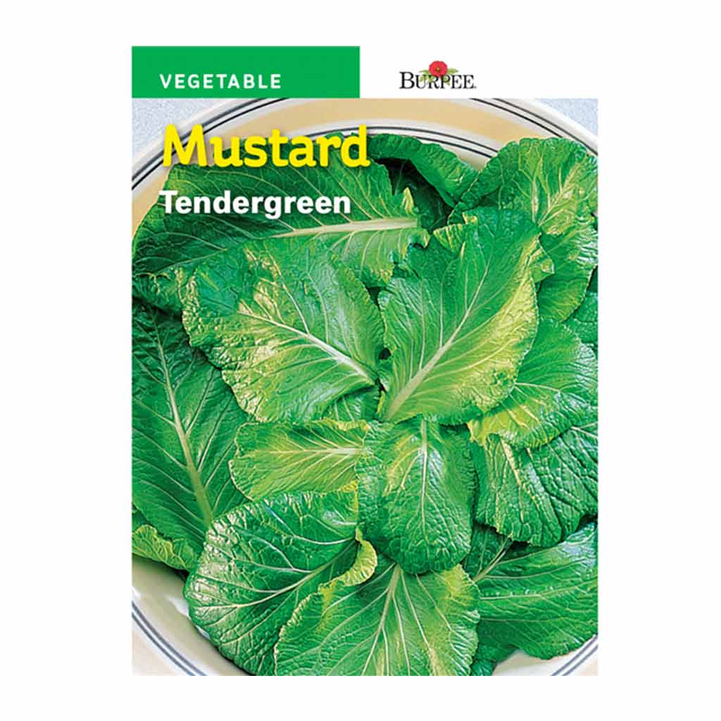 BURPEE MUSTARD - TENDERGREEN