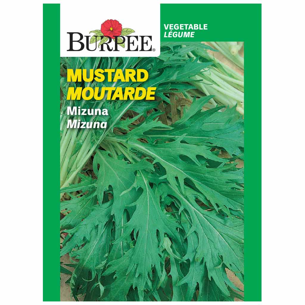 BURPEE MUSTARD - MIZUNA