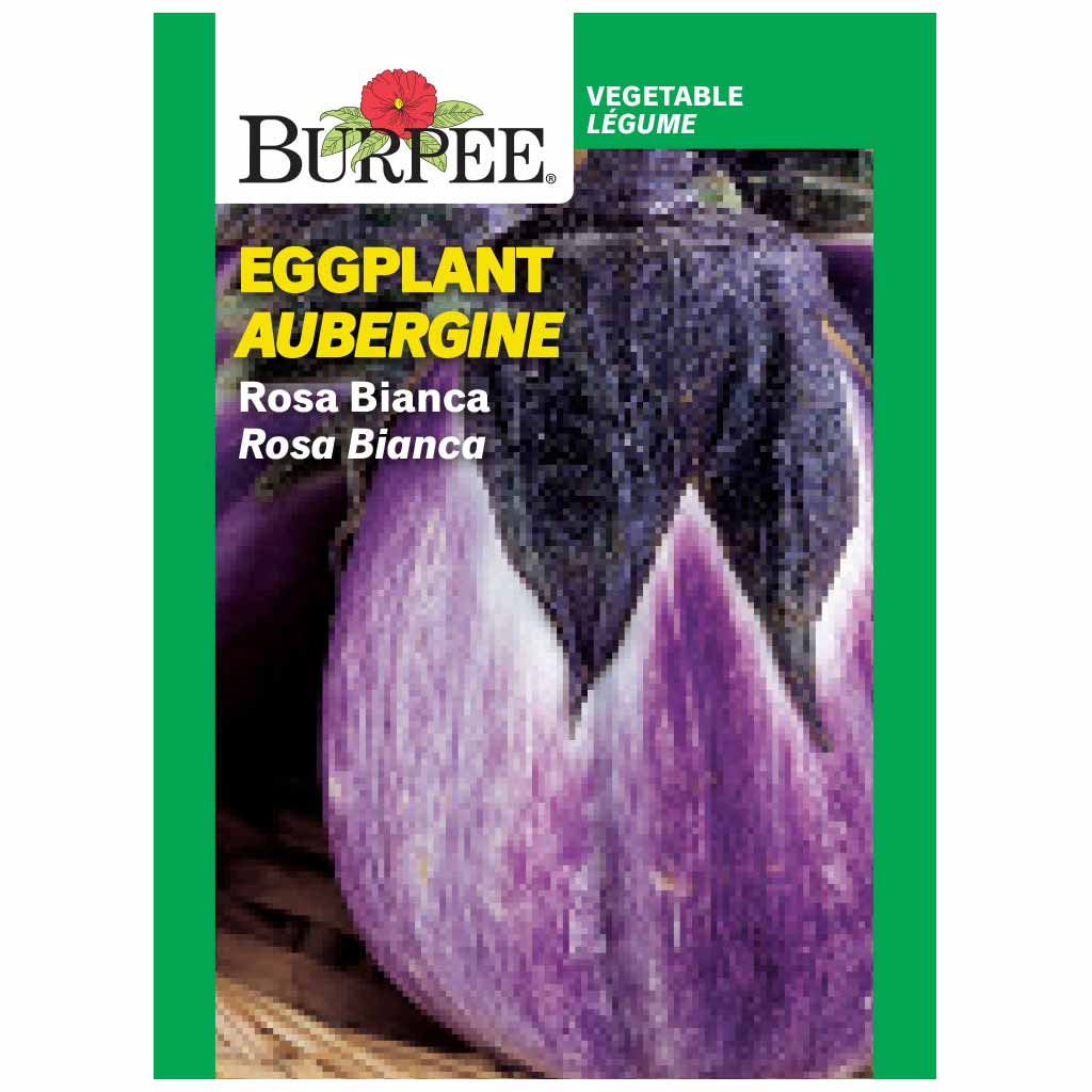 BURPEE EGGPLANT - ROSA BIANCA