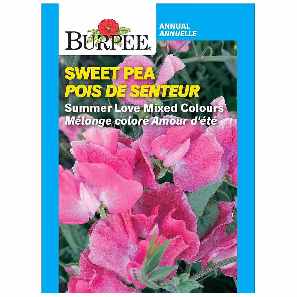 BURPEE SWEET PEA - SUMMER LOVE MIXED COLOURS