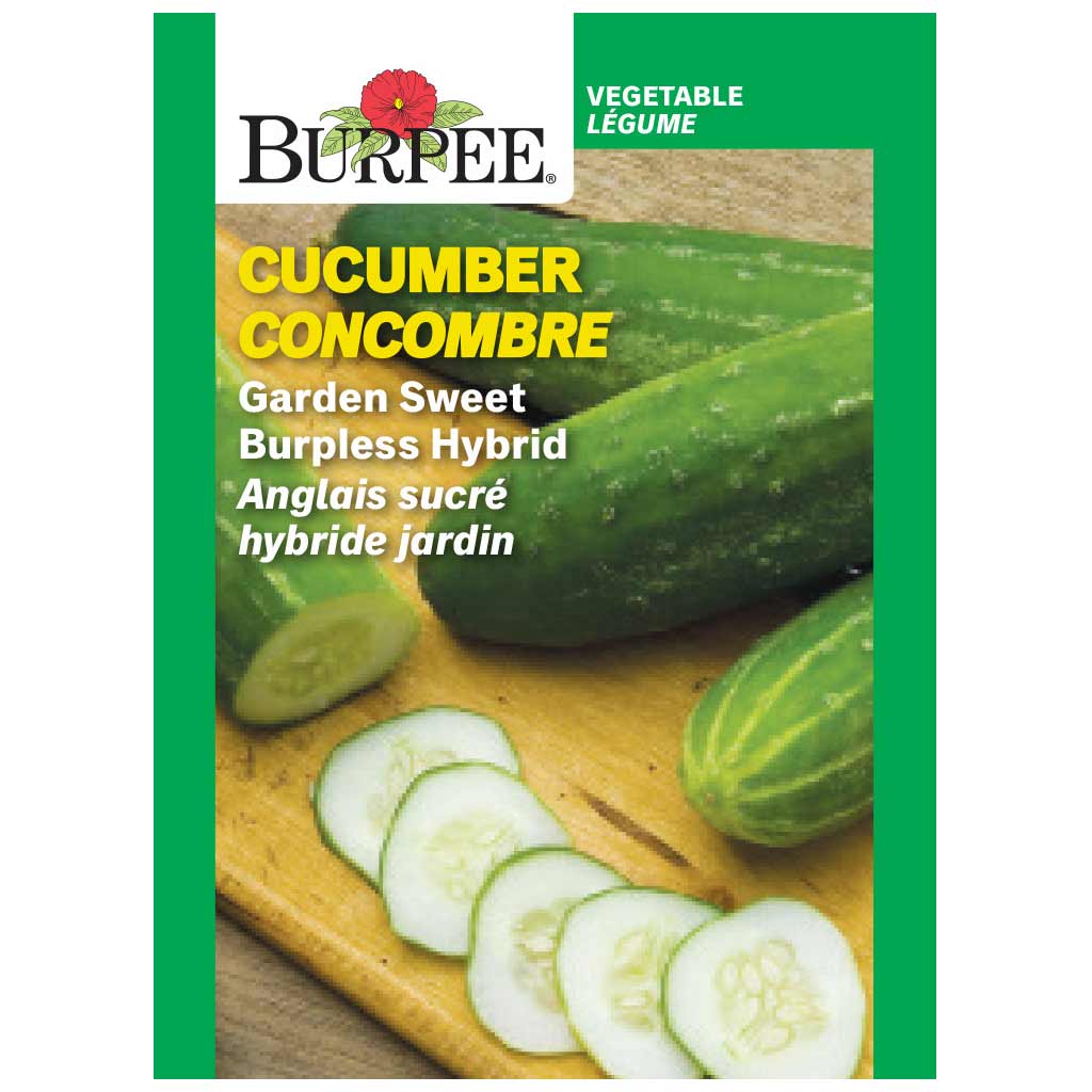 BURPEE CUCUMBER - GARDEN SWEET BURPLESS HYBRID