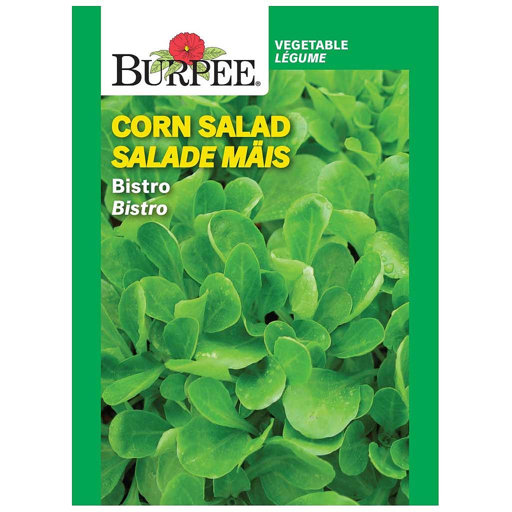 BURPEE CORN SALAD