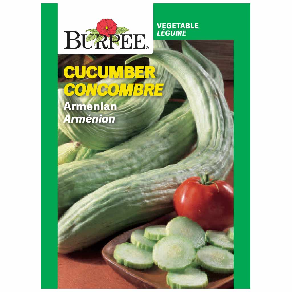 BURPEE CUCUMBER - ARMENIAN