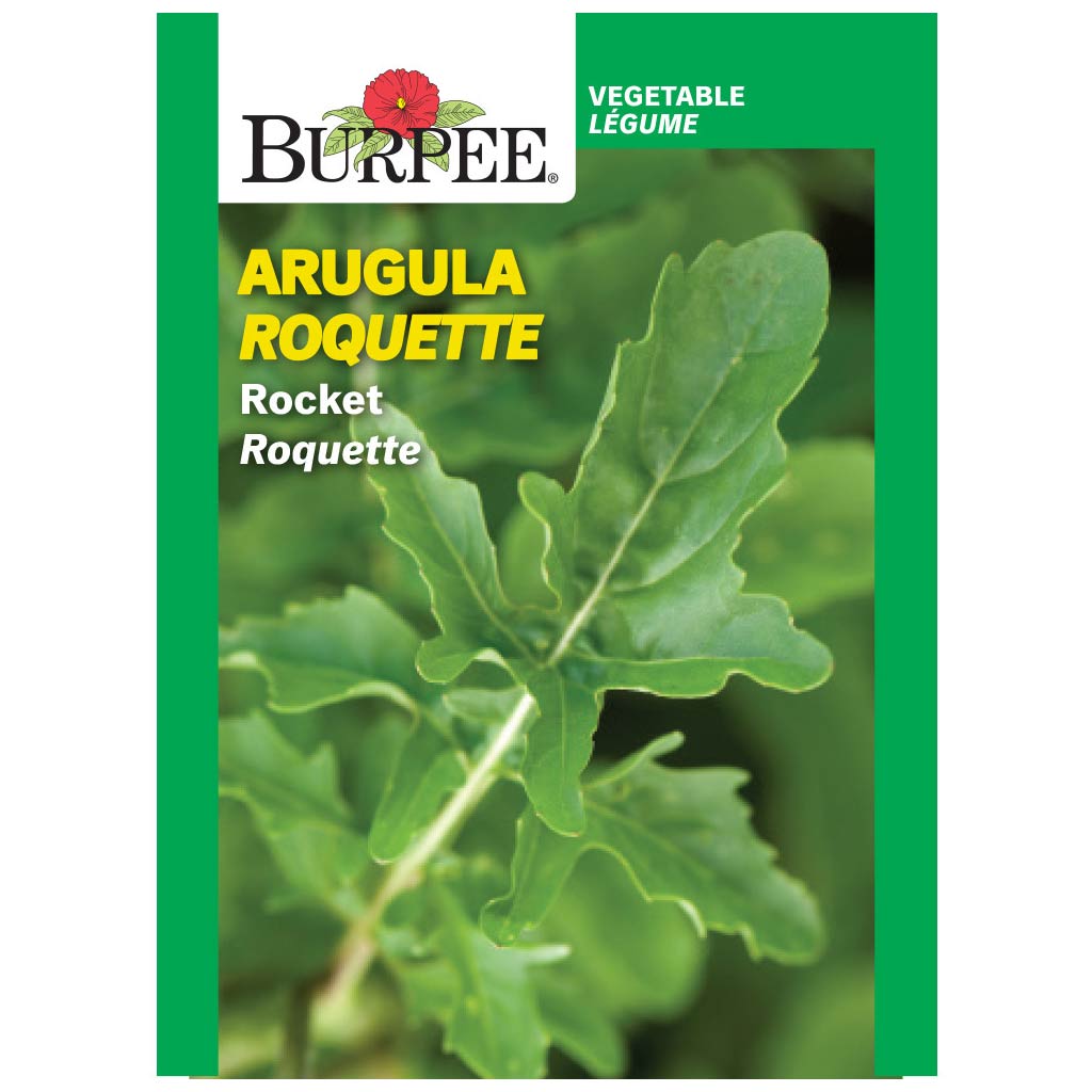 BURPEE ARUGULA