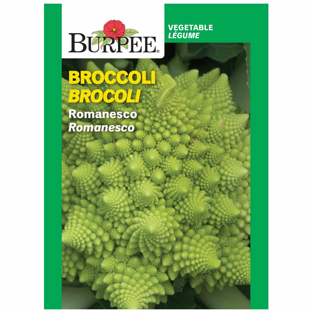 BURPEE BROCCOLI - ROMANESCO