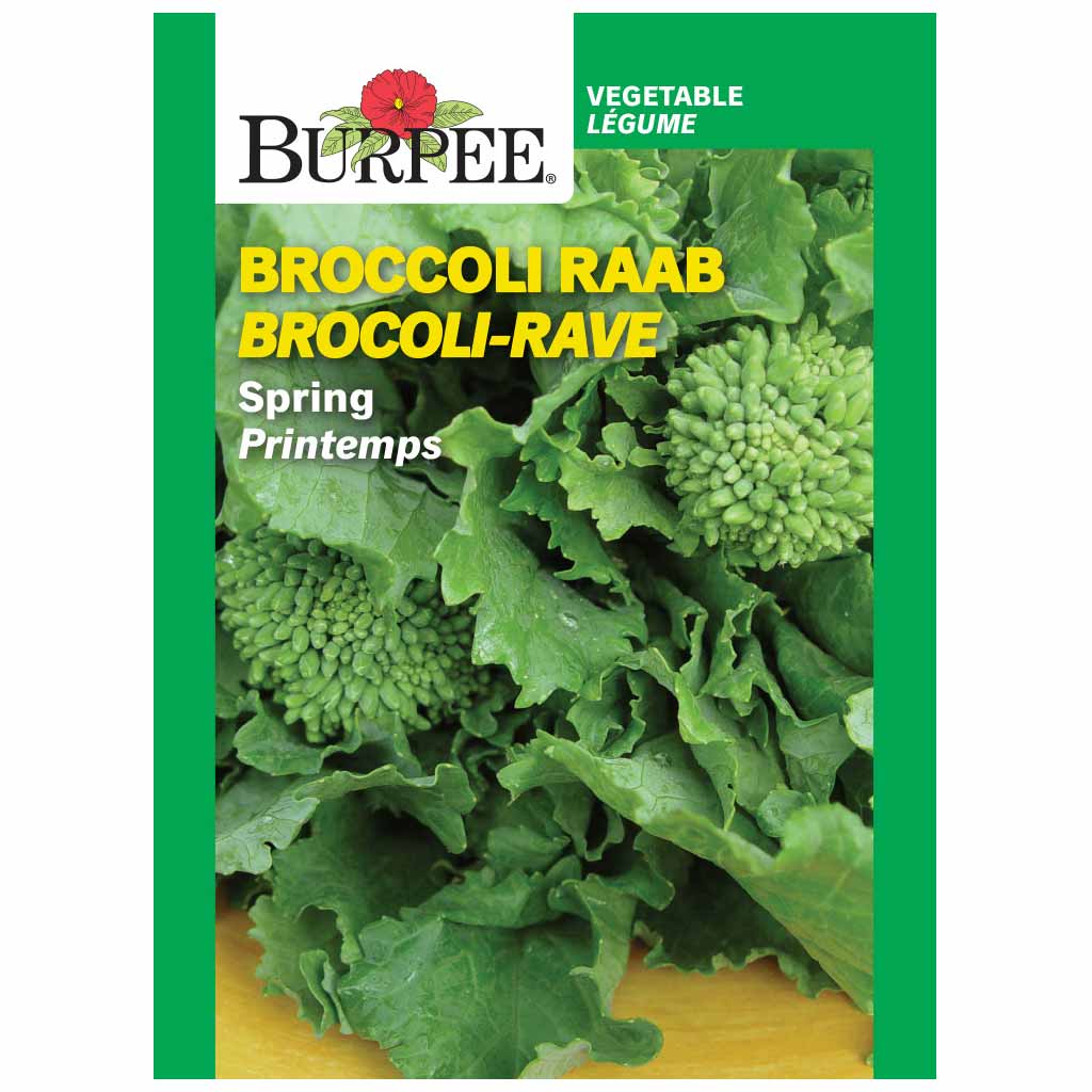 BURPEE BROCCOLI RAAB