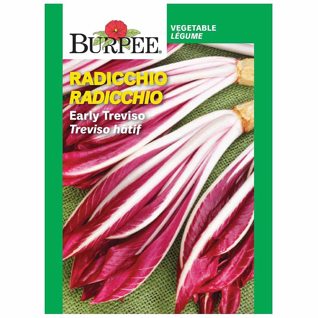 BURPEE RADICCHIO