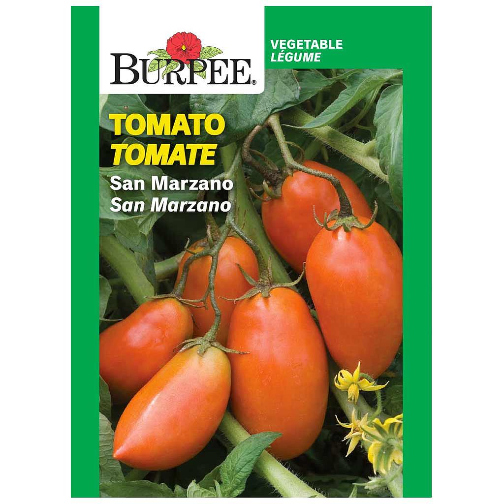 BURPEE TOMATO - SAN MARZANO