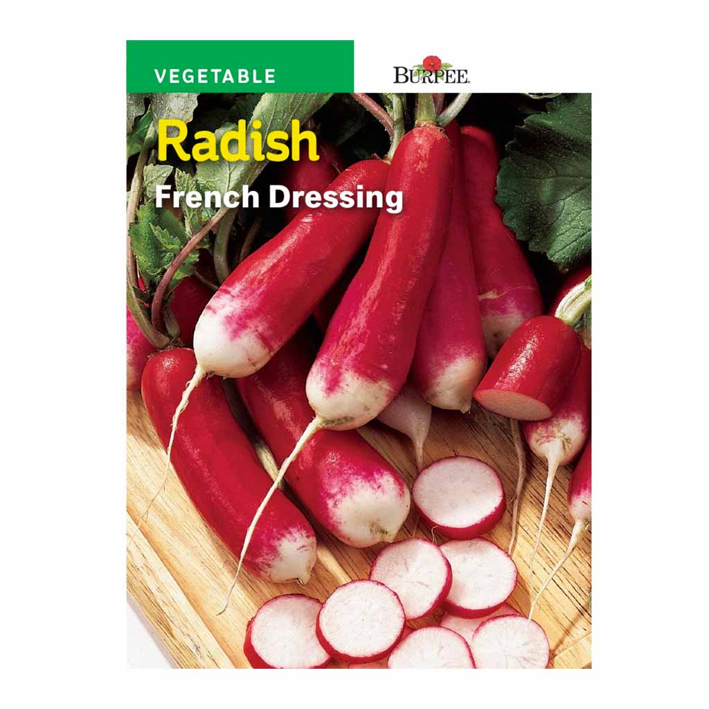 BURPEE RADISH - FRENCH DRESSING