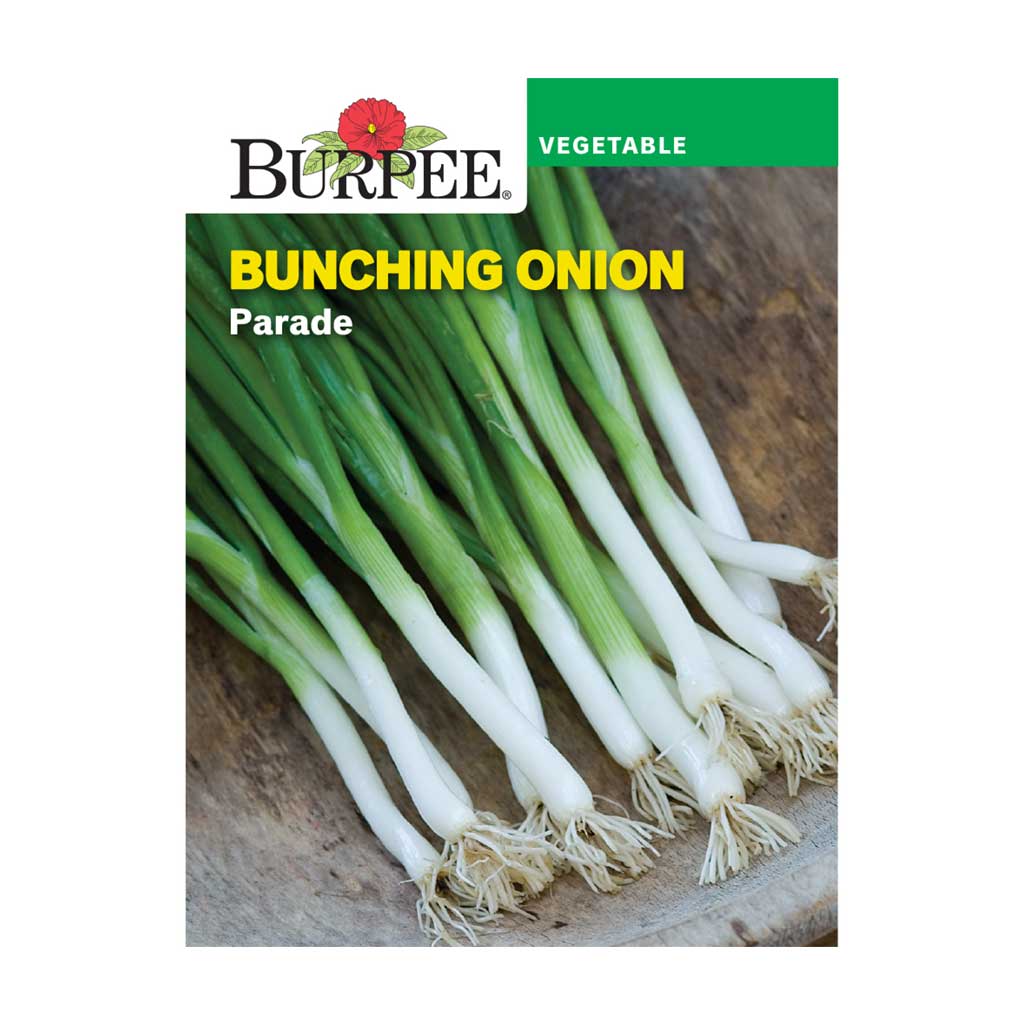 BURPEE BUNCHING ONION - PARADE