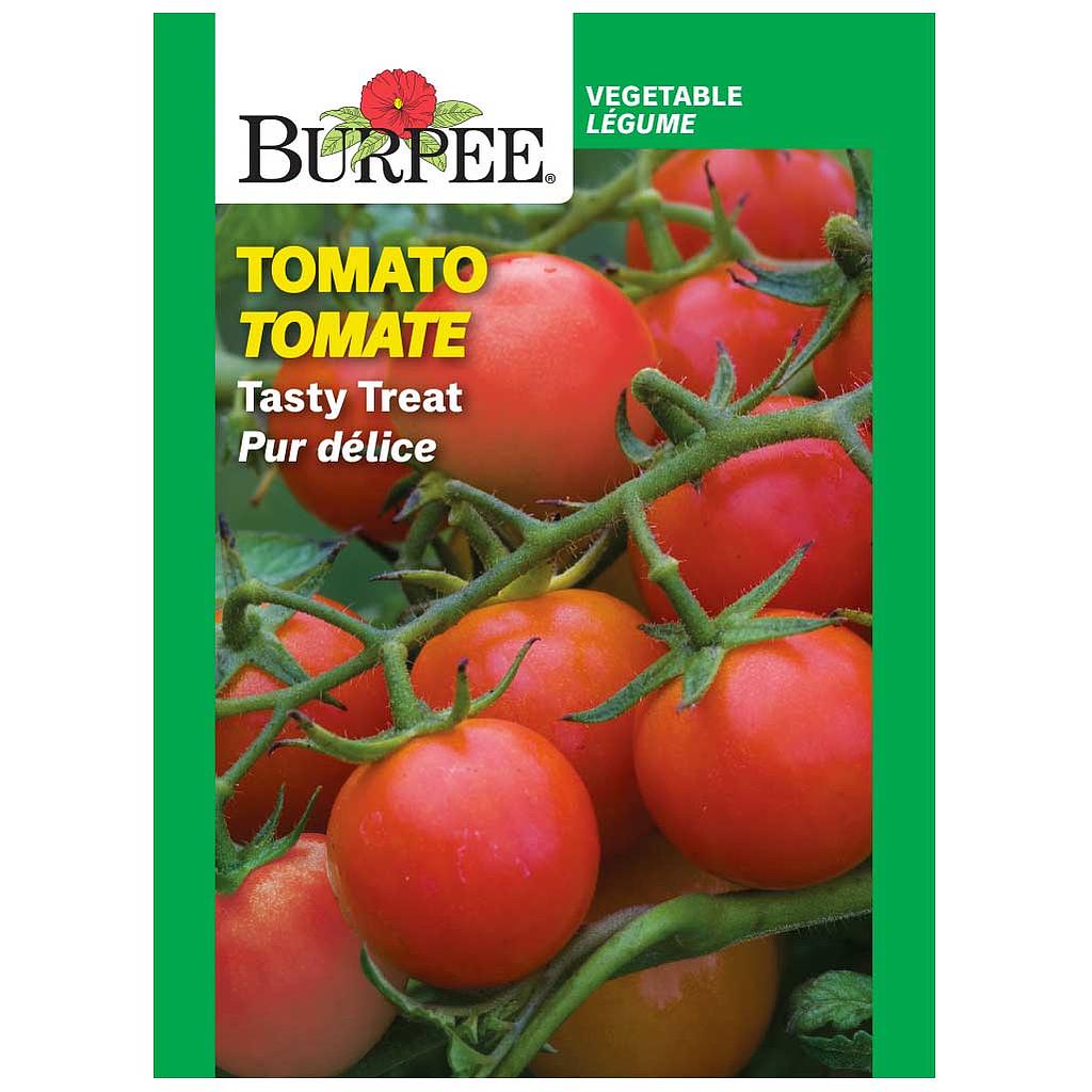 BURPEE TOMATO - TASTY TREAT