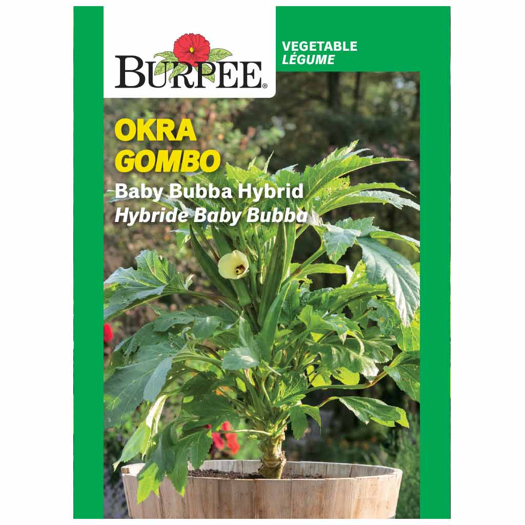 BURPEE OKRA- BABY BUBBA HYBRID