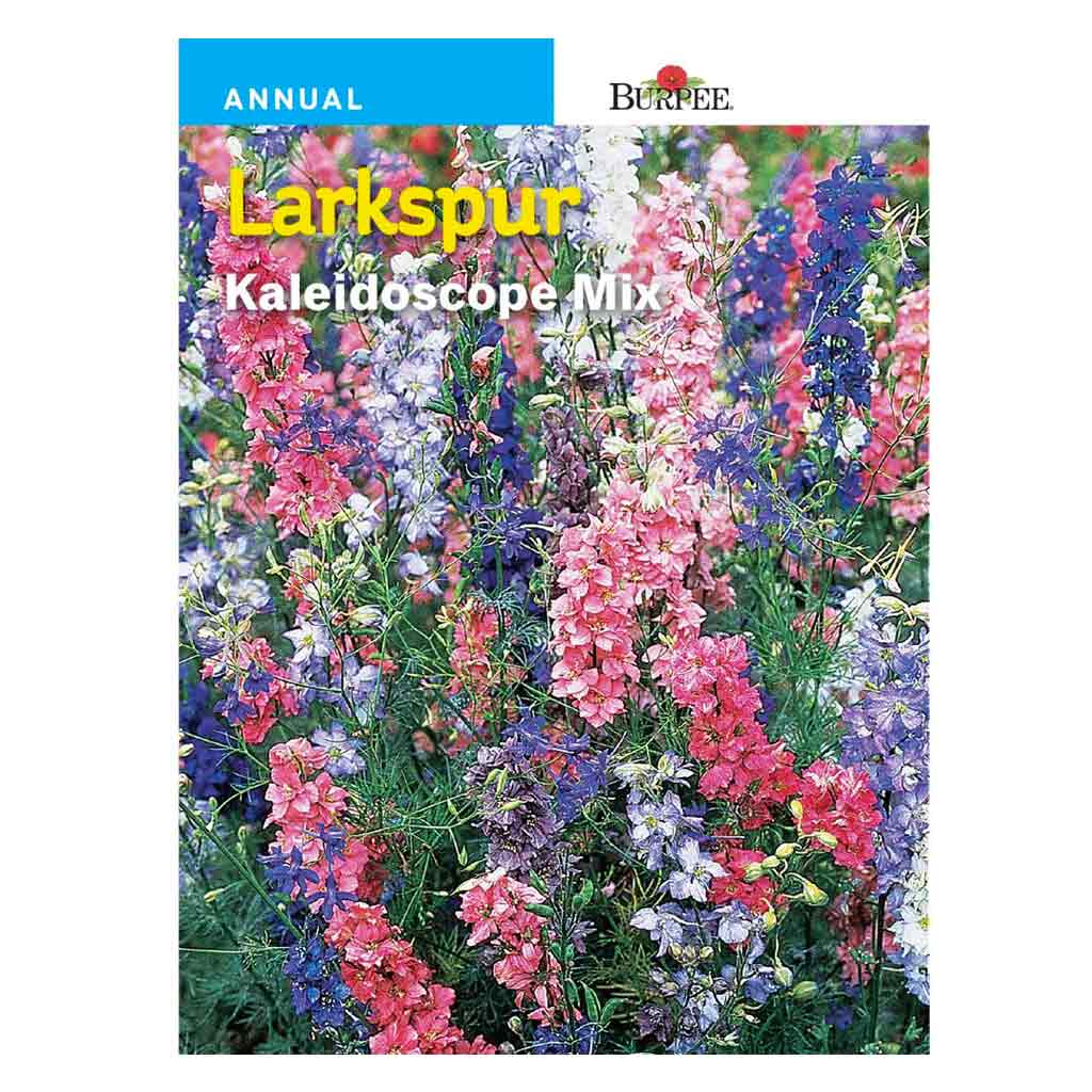 BURPEE LARKSPUR