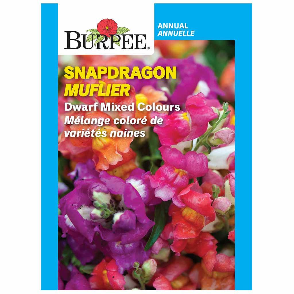 BURPEE SNAPDRAGON - DWARF MIXED COLOURS