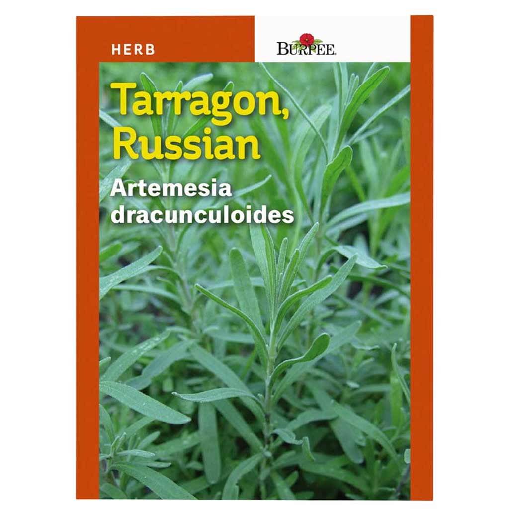 BURPEE HERB TARRAGON 