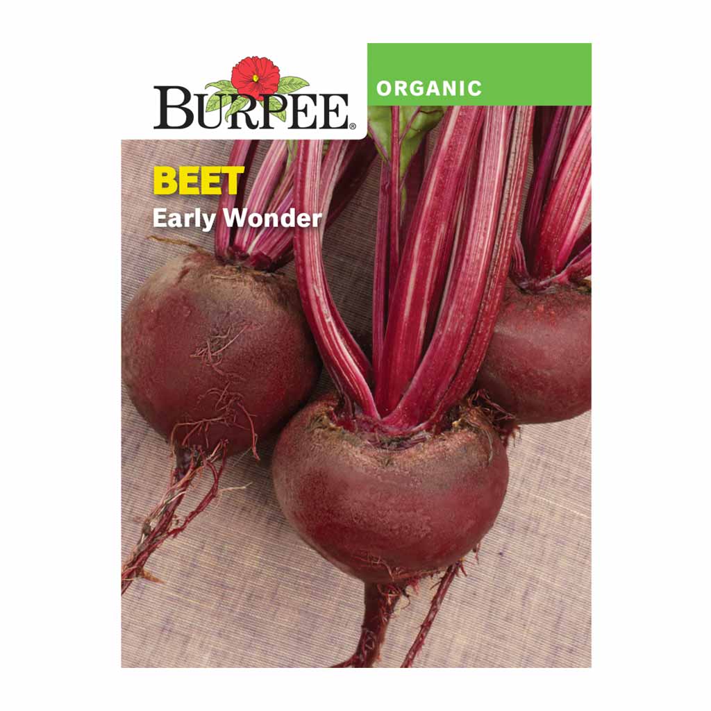 BURPEE ORGANIC BEET 